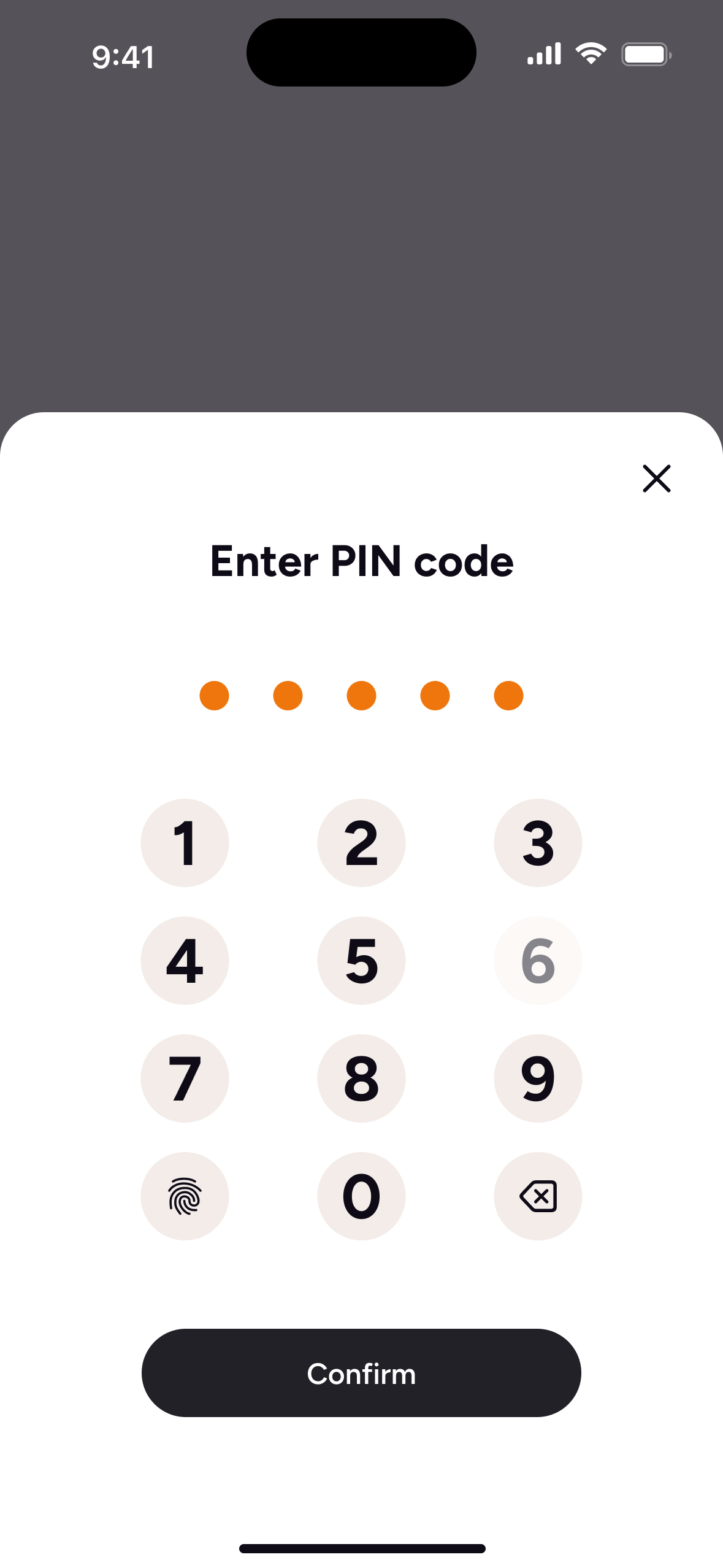 Stor knappsats för PIN-kod, med biometri som genväg.